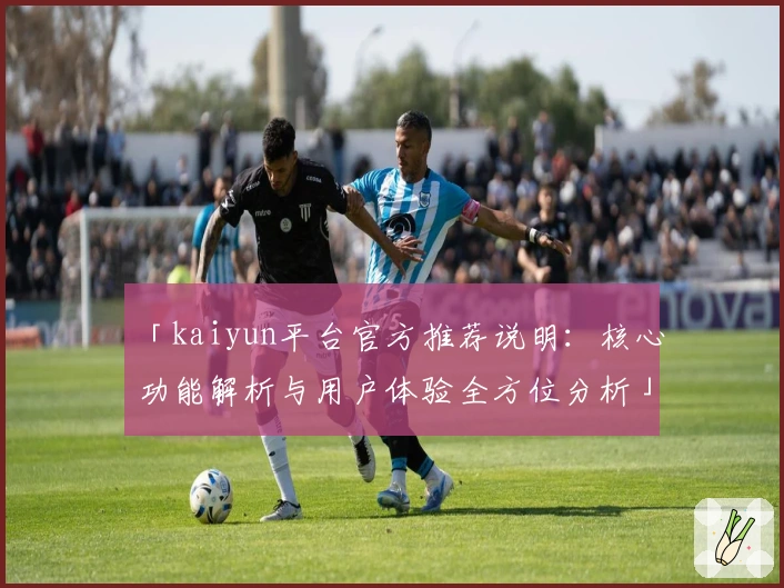 「kaiyun平台官方推荐说明：核心功能解析与用户体验全方位分析」