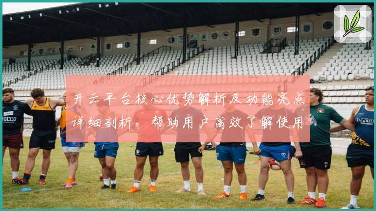 开云平台核心优势解析及功能亮点详细剖析，帮助用户高效了解使用技巧